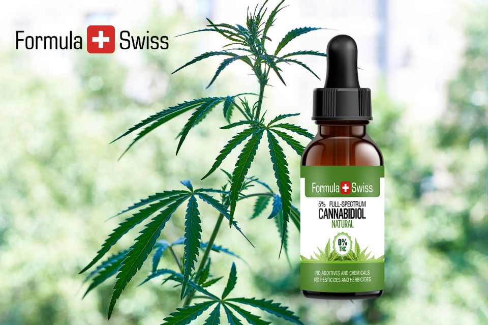 Cbd revolution i danmark: Formula swiss i spidsen med over 10.000 brugere