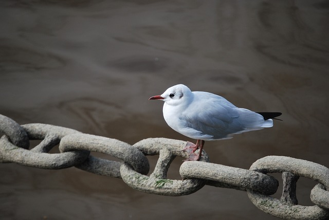 De 10 bedste strategier til at opbygge kvalitetslinks